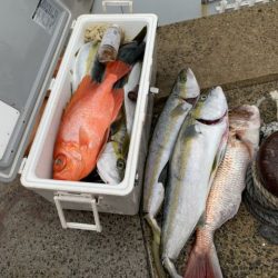 第八大安丸 釣果