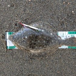 鈴鹿サーフと津の堤防にて