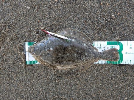 鈴鹿サーフと津の堤防にて