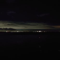 今年ラストエギングで良型