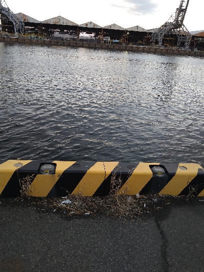 サバでボウズ回避