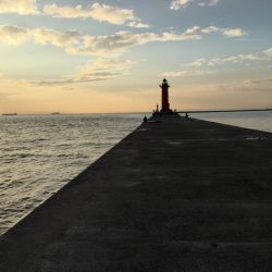 落とし込みでチヌ!まだ釣れる!!