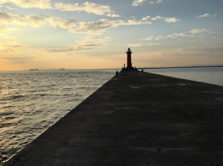 落とし込みでチヌ!まだ釣れる!!