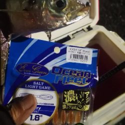 アジング練習 221