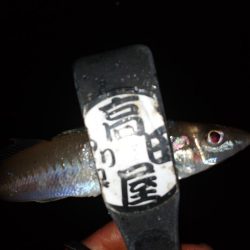 ライトキャロちょい投げ