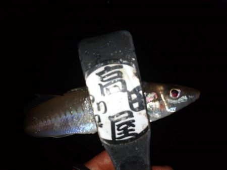 ライトキャロちょい投げ