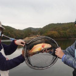 フィッシングレイクたかみや 釣果