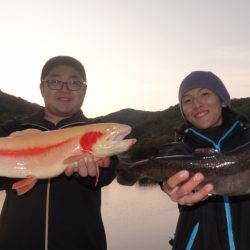 フィッシングレイクたかみや 釣果