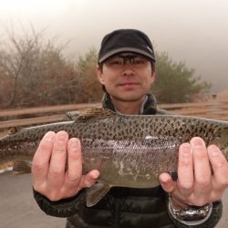 フィッシングレイクたかみや 釣果