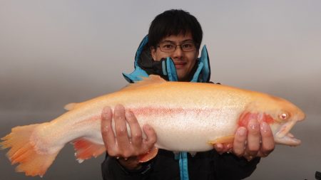 フィッシングレイクたかみや 釣果