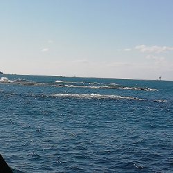 フィッシングボート空風（そらかぜ） 釣果