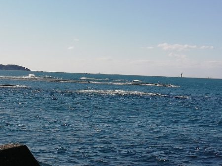 フィッシングボート空風（そらかぜ） 釣果