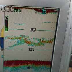 FISHING RISKY 釣果