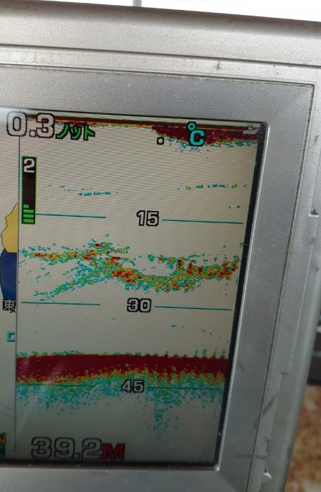 FISHING RISKY 釣果