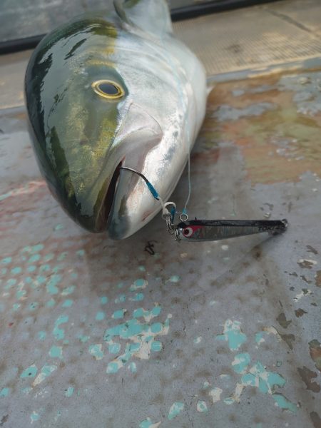 FISHING RISKY 釣果