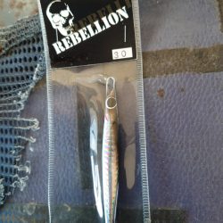 FISHING RISKY 釣果