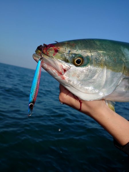 FISHING RISKY 釣果