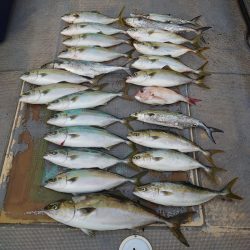 FISHING RISKY 釣果