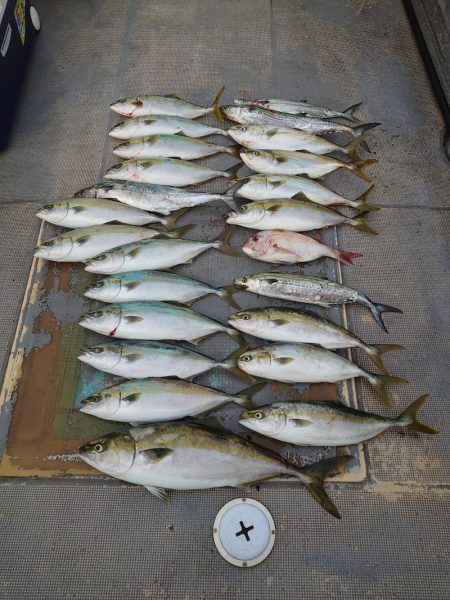 FISHING RISKY 釣果