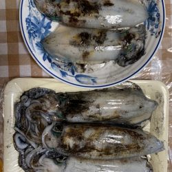 あみや渡船 釣果