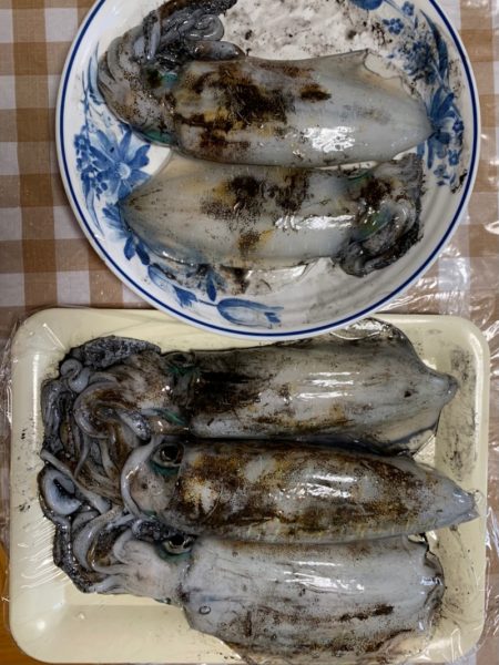 あみや渡船 釣果
