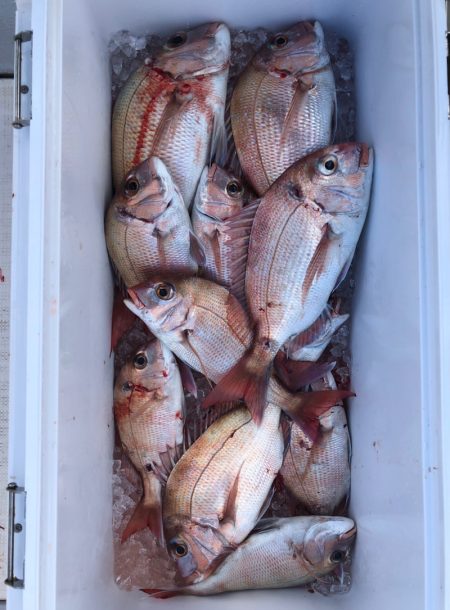 フィッシング　キッタカ 釣果