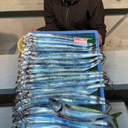 釣人家 釣果