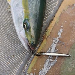 FISHING RISKY 釣果