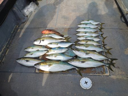 FISHING RISKY 釣果