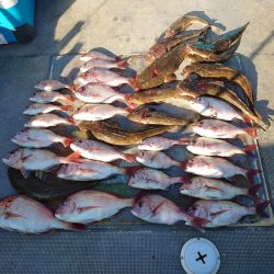 FISHING RISKY 釣果