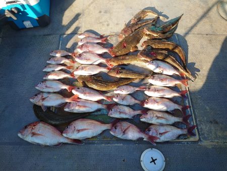 FISHING RISKY 釣果