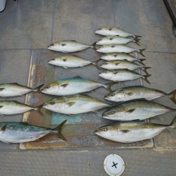 FISHING RISKY 釣果