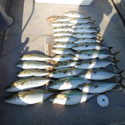 FISHING RISKY 釣果