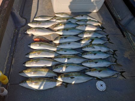 FISHING RISKY 釣果