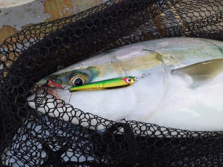 FISHING RISKY 釣果