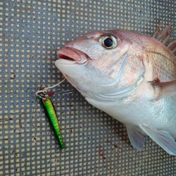 FISHING RISKY 釣果