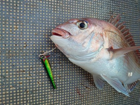 FISHING RISKY 釣果