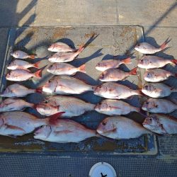 FISHING RISKY 釣果