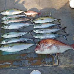 FISHING RISKY 釣果