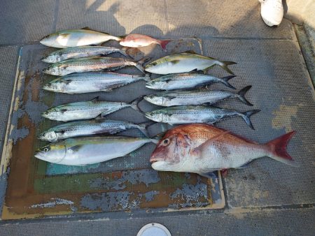 FISHING RISKY 釣果