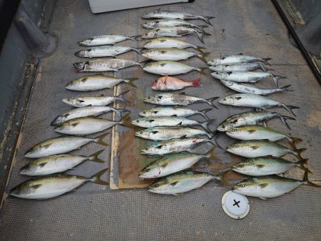 FISHING RISKY 釣果