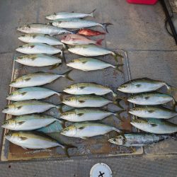 FISHING RISKY 釣果