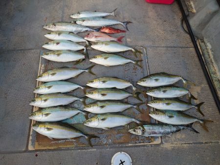 FISHING RISKY 釣果