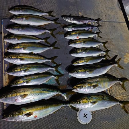 FISHING RISKY 釣果