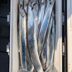 フィッシング キッタカ 釣果