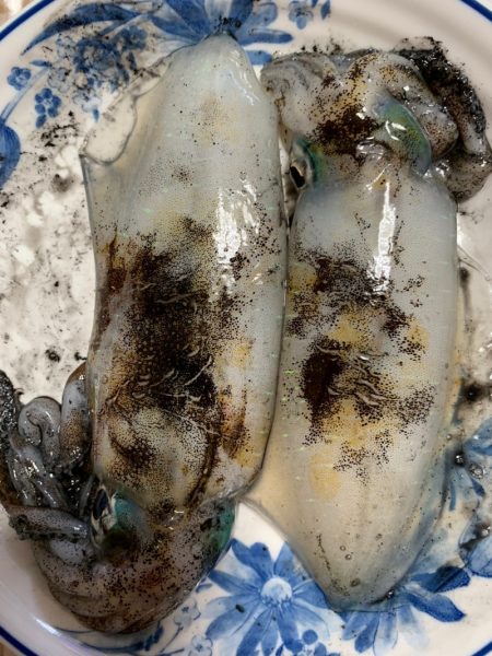 あみや渡船 釣果