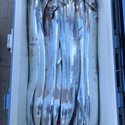 フィッシング キッタカ 釣果