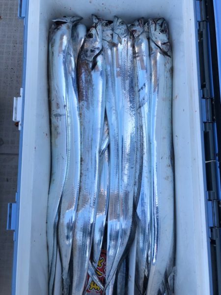 フィッシング キッタカ 釣果