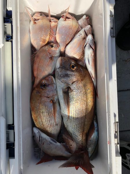 フィッシング　キッタカ 釣果