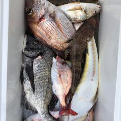 フィッシング　キッタカ 釣果